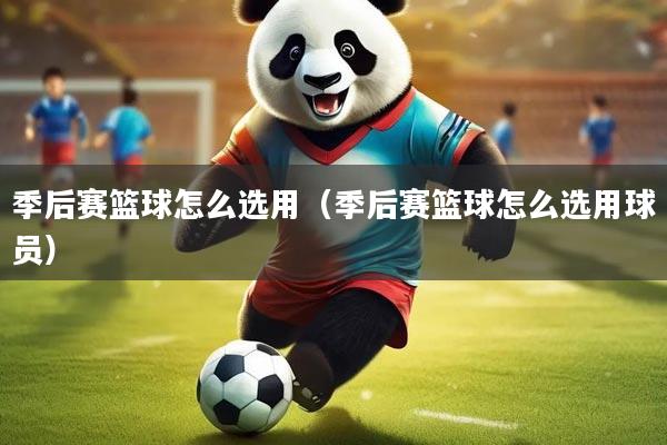 季后赛篮球怎么选用（季后赛篮球怎么选用球员）