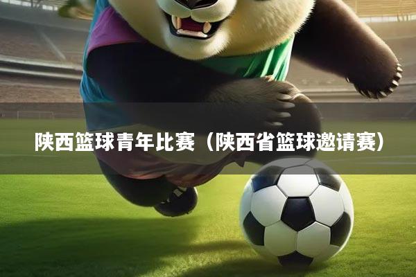 陕西篮球青年比赛（陕西省篮球邀请赛）